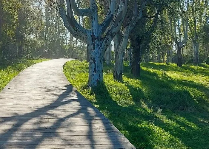 公寓 La Perla Infinity 奥罗佩萨德尔马